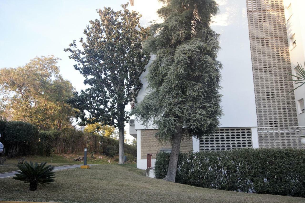 Bonito Apart. Con Parking Y Piscina Mairena del Aljarafe Dış mekan fotoğraf